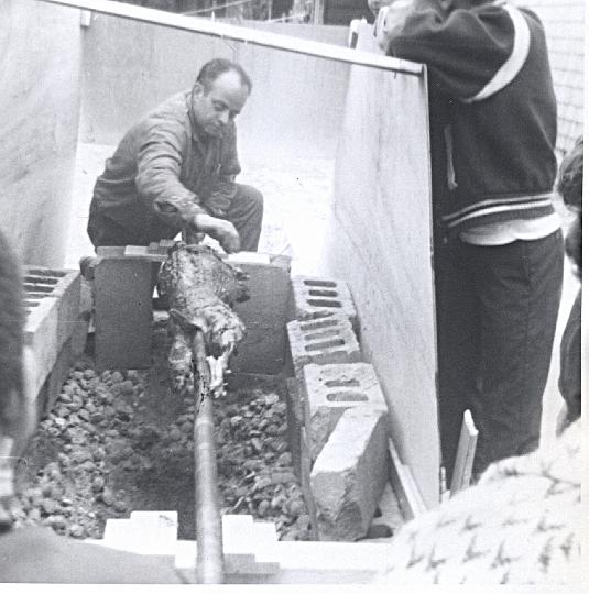 o17c.jpg - Uncle Pete cooking a lamb on a spit in his backyard, May 1968.