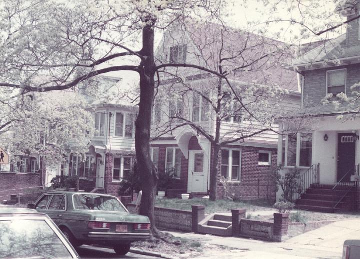 p050.jpg - Our neighborhood, Spring of 1984.