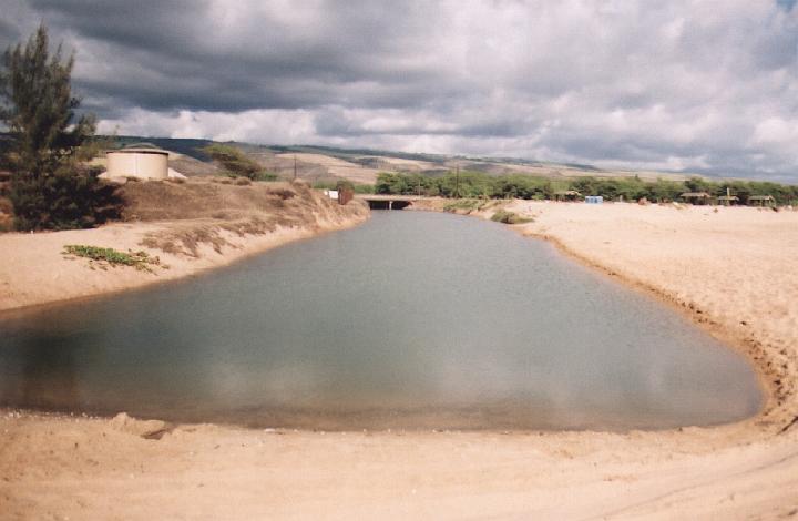 h040.jpg - The same canal, looking landward.