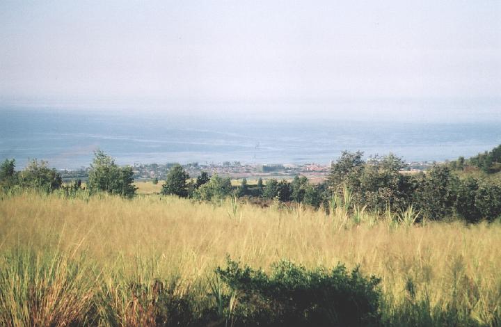 h046.jpg - The coast and the ocean as seen from Waimea Canyon Drive.