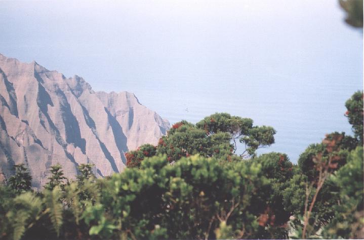 h059.jpg - View from the Pihea trail.