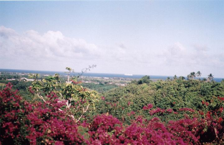 h066.jpg - Cruise ship seen in the distance from the bottom of Waimea Canyon Drive.