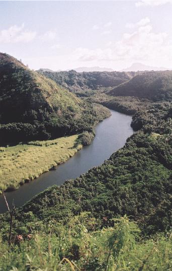 h070.jpg - The Wailua River seen from Opaeka'a Falls on Kauai.