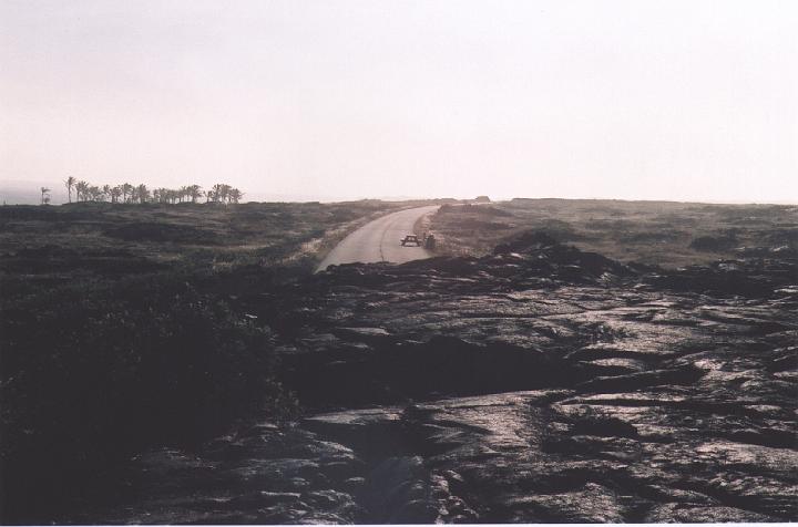 h094.jpg - Chain of Craters Road as seen from the lava flow.