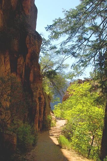 011.jpg - One of the flat stretches of trail to Angels Landing. VF