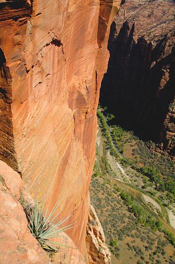 025.jpg - Angels Landing trail, not a place for the faint hearted. VF