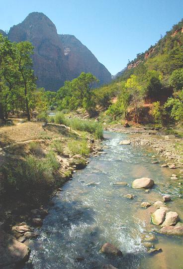 050.jpg - The Virgin River running through the Zion Valley. VF