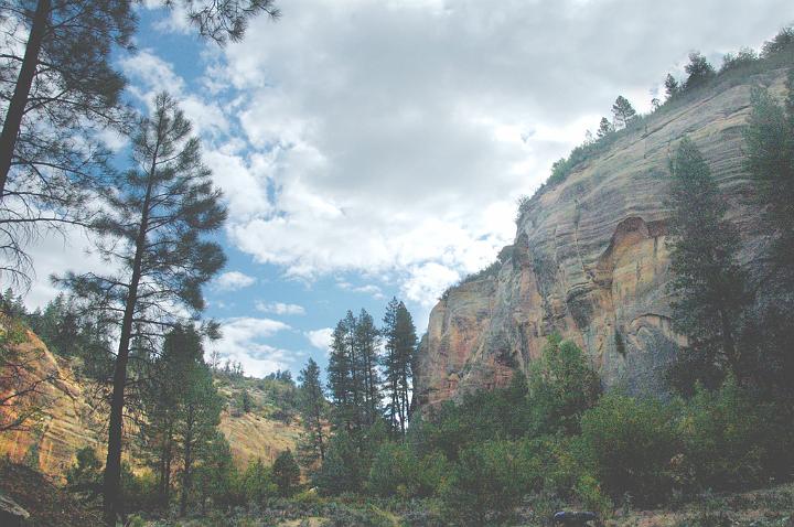 144.jpg - View from the trailhead of the Virgin River. VF