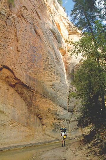 146.jpg - Me making my way down the Virgin River. VF