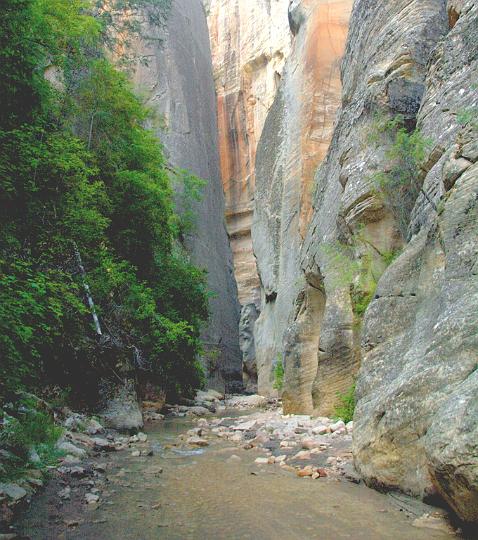 148.jpg - The Virgin River. Only one way to go. VF