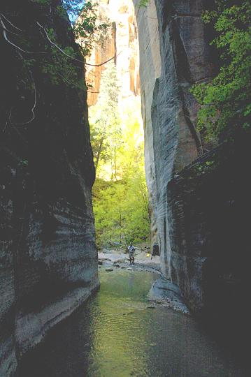 157.jpg - Me in the narrow slot canyon of the Virgin River. VF