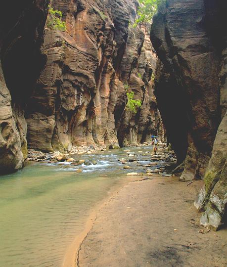 184.jpg - A quiet stretch of the Virgin River. VF