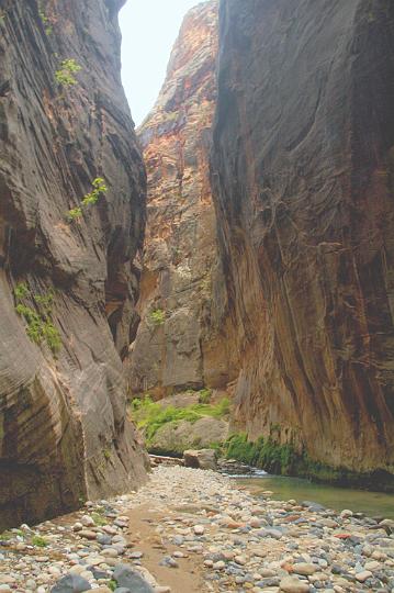 192.jpg - The rocky shores of the Virgin River. VF