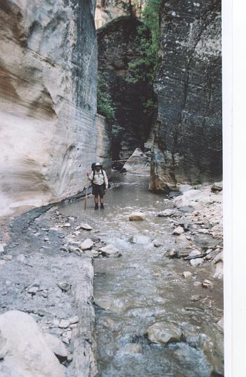 z25.jpg - Vince, ankle deep in water on the trail.